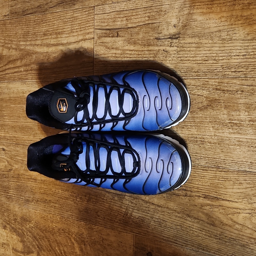 Men Nike Air Max Plus OG Purple